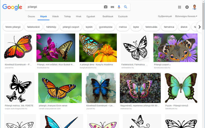 Google Képek képkereső szolgáltatás minta